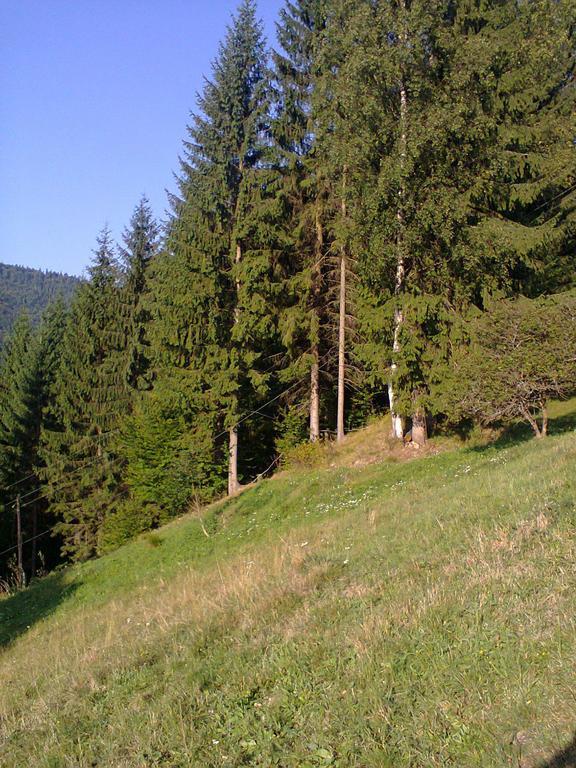 Отель Krutogora Татаров Экстерьер фото